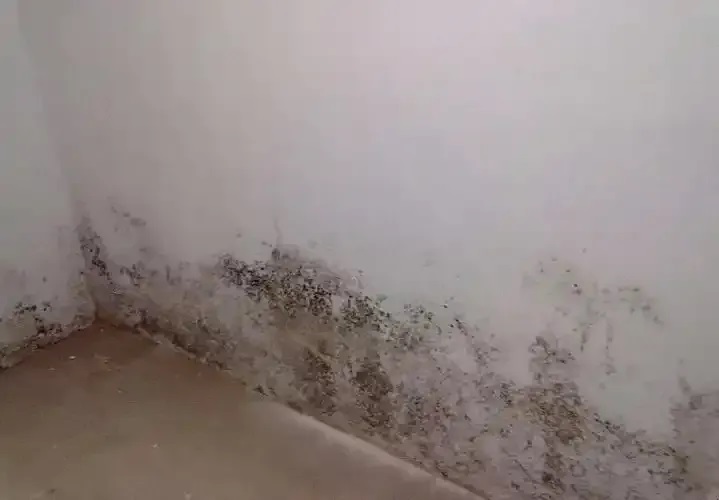 防水≠防滲！80%的人都弄錯(cuò)了！