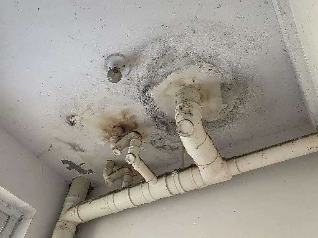 防水做了等于白做？青龍防水教你避開施工8大坑，讓工程不再漏水！
