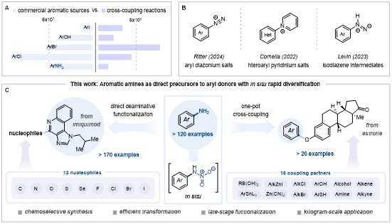 張夏衡團隊5.jpg 張夏衡團隊5.jpg